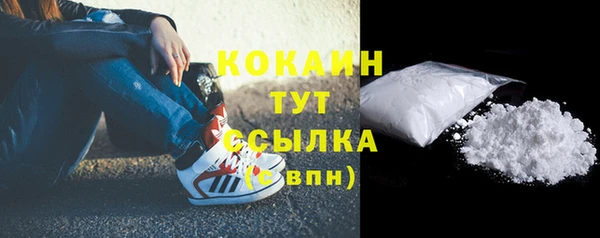 apvp Иннополис
