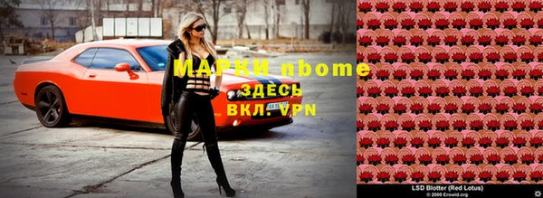 мет Инсар