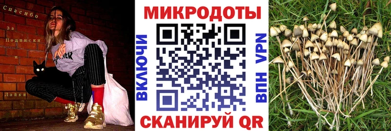 Галлюциногенные грибы MAGIC MUSHROOMS  Купить  Грязовец 
